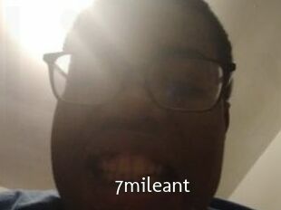 7mileant