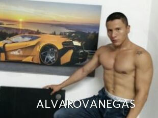 ALVAROVANEGAS