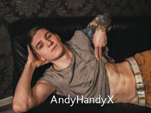 AndyHandyX