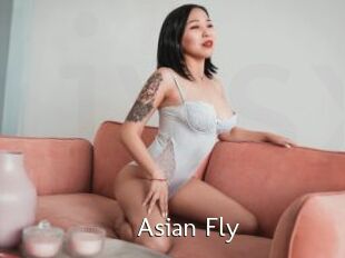 Asian_Fly