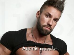 Adonis_muscles