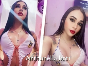 Anthonella_hot1