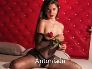 Antoniadu