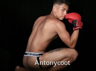 Antonycoot