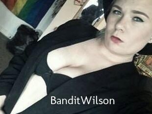 Bandit_Wilson