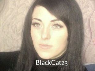 BlackCat23