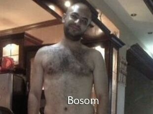 Bosom