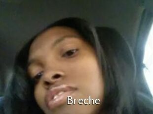 Breche