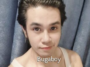 Bugaboy