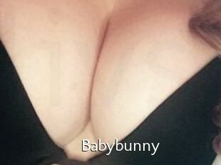 Baby_bunny