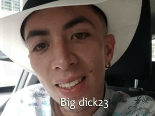 Big_dick23