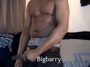 Bigbarry