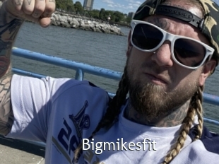 Bigmikesfit