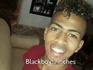 Blackboy12inches