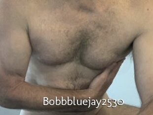 Bobbbluejay2530
