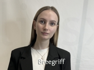 Breegriff