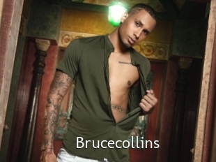 Brucecollins