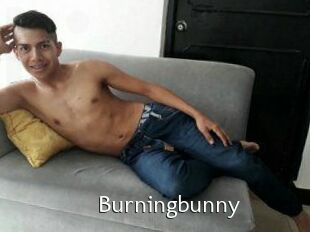 Burningbunny