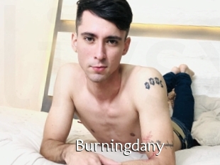 Burningdany