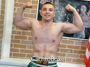 CarlitoBoxer