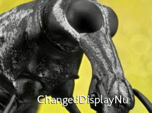 ChangedDisplayNu