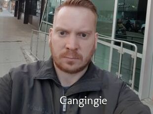 Cangingie