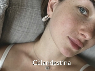 Cclandestina