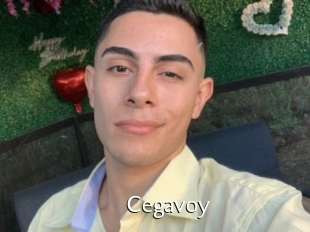 Cegavoy