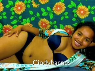 Cindybarnes