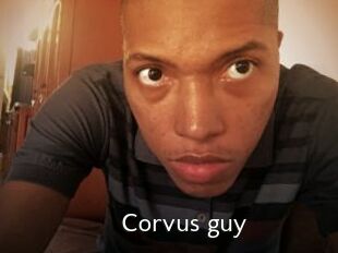 Corvus_guy