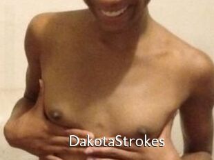 DakotaStrokes