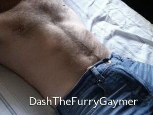 Dash_TheFurryGaymer