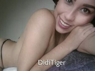 DidiTiger