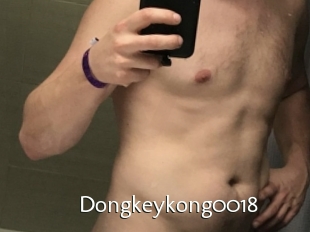 Dongkeykong0018