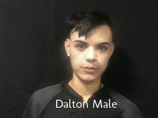 Dalton_Male