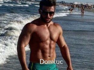 Domluc