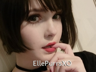 EllePurrsXO