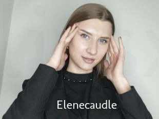 Elenecaudle