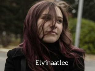 Elvinaatlee