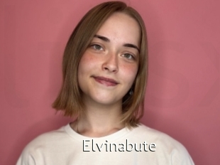 Elvinabute