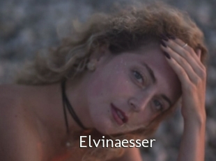 Elvinaesser