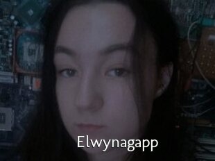 Elwynagapp