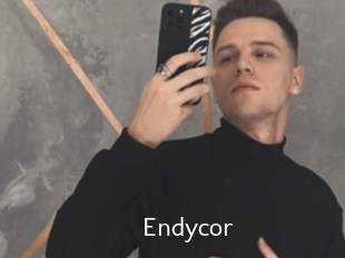 Endycor