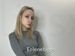 Erlenebigge