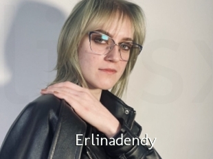 Erlinadendy