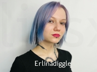 Erlinadiggle