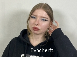 Evacherit