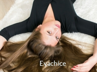 Evachice