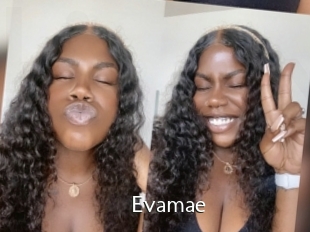 Evamae