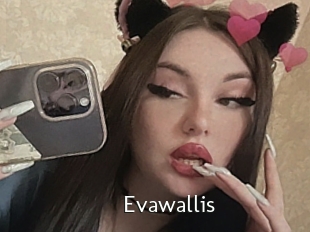 Evawallis